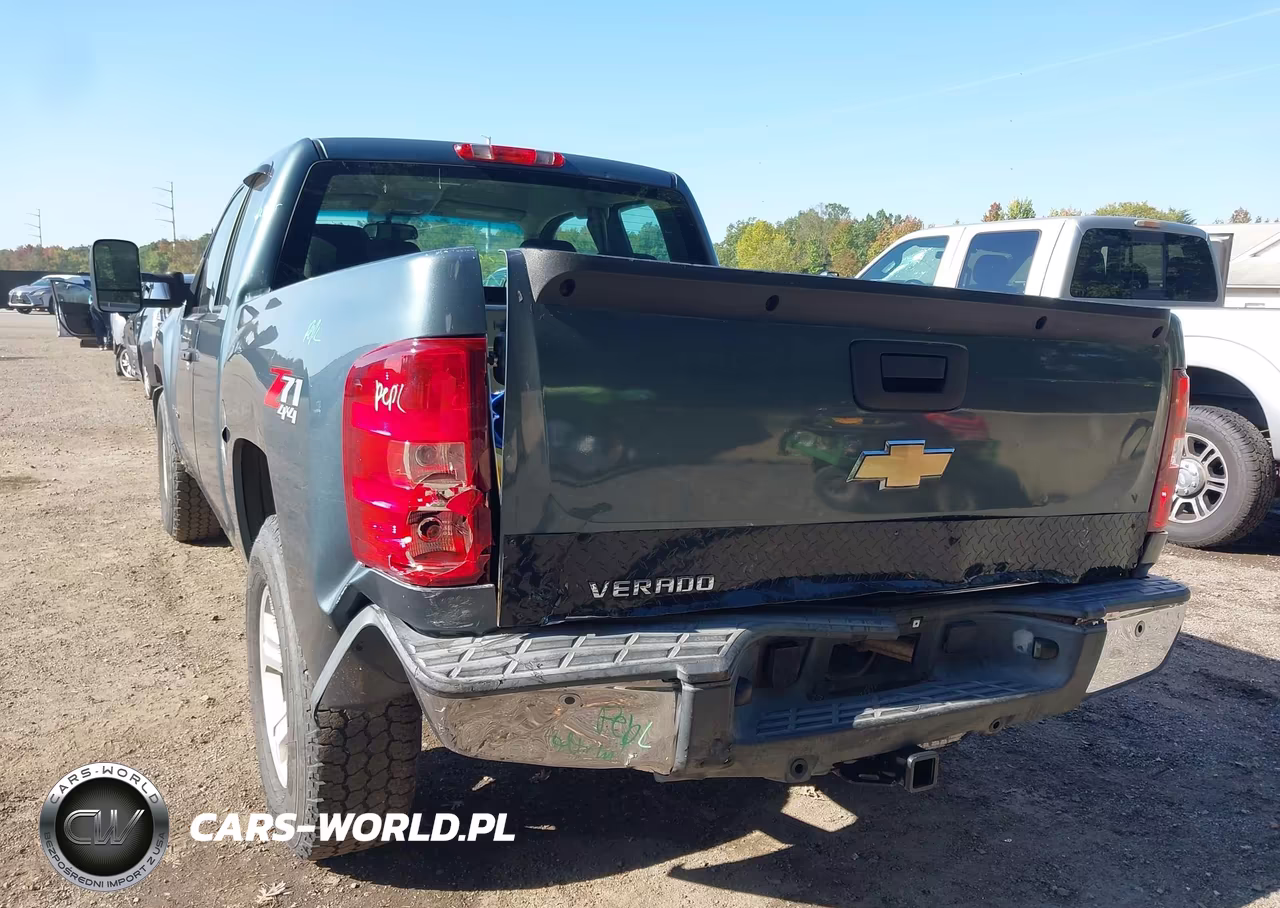 2009 Chevrolet Silverado 1500 Work Truck VIN:1GCEK19C59Z161116 - 6