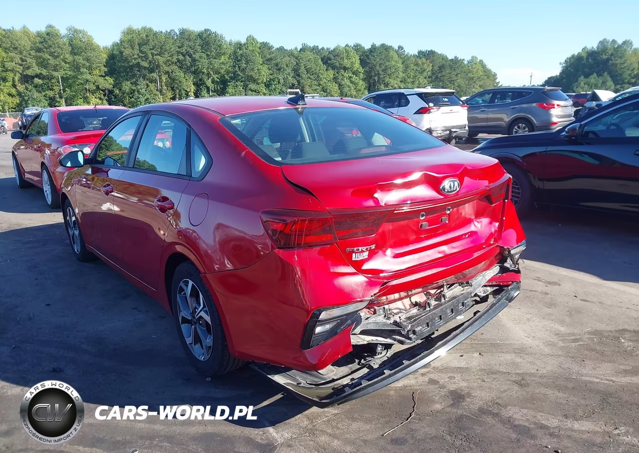 2019 Kia Forte Lxs VIN:3KPF24ADXKE035135 - 3