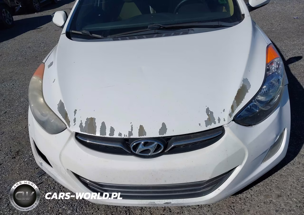 2011 Hyundai Elantra Limited VIN:5NPDH4AEXBH020290 - 13