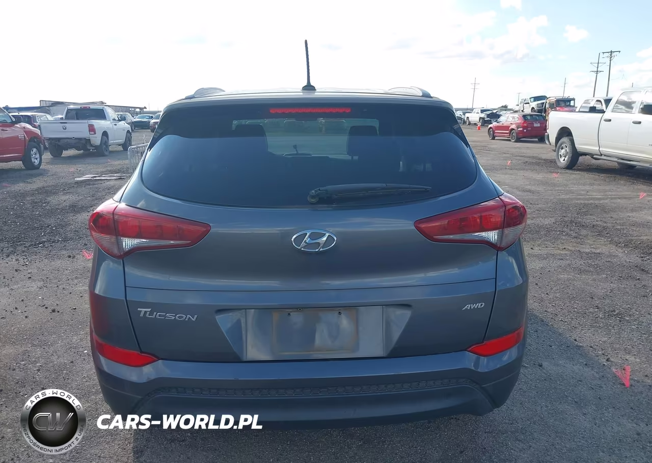 2016 Hyundai Tucson Se VIN:KM8J3CA46GU082846 - 16