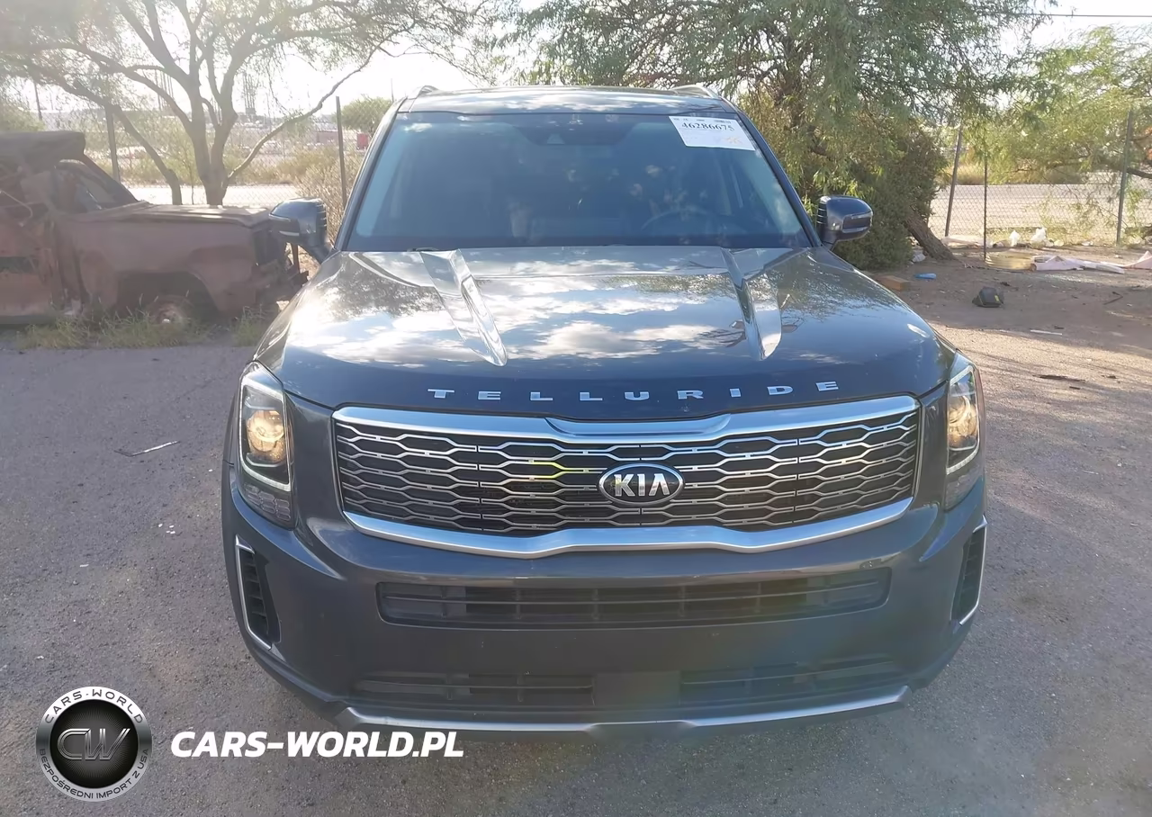 2020 Kia Telluride S VIN:5XYP64HC6LG014065 - 12