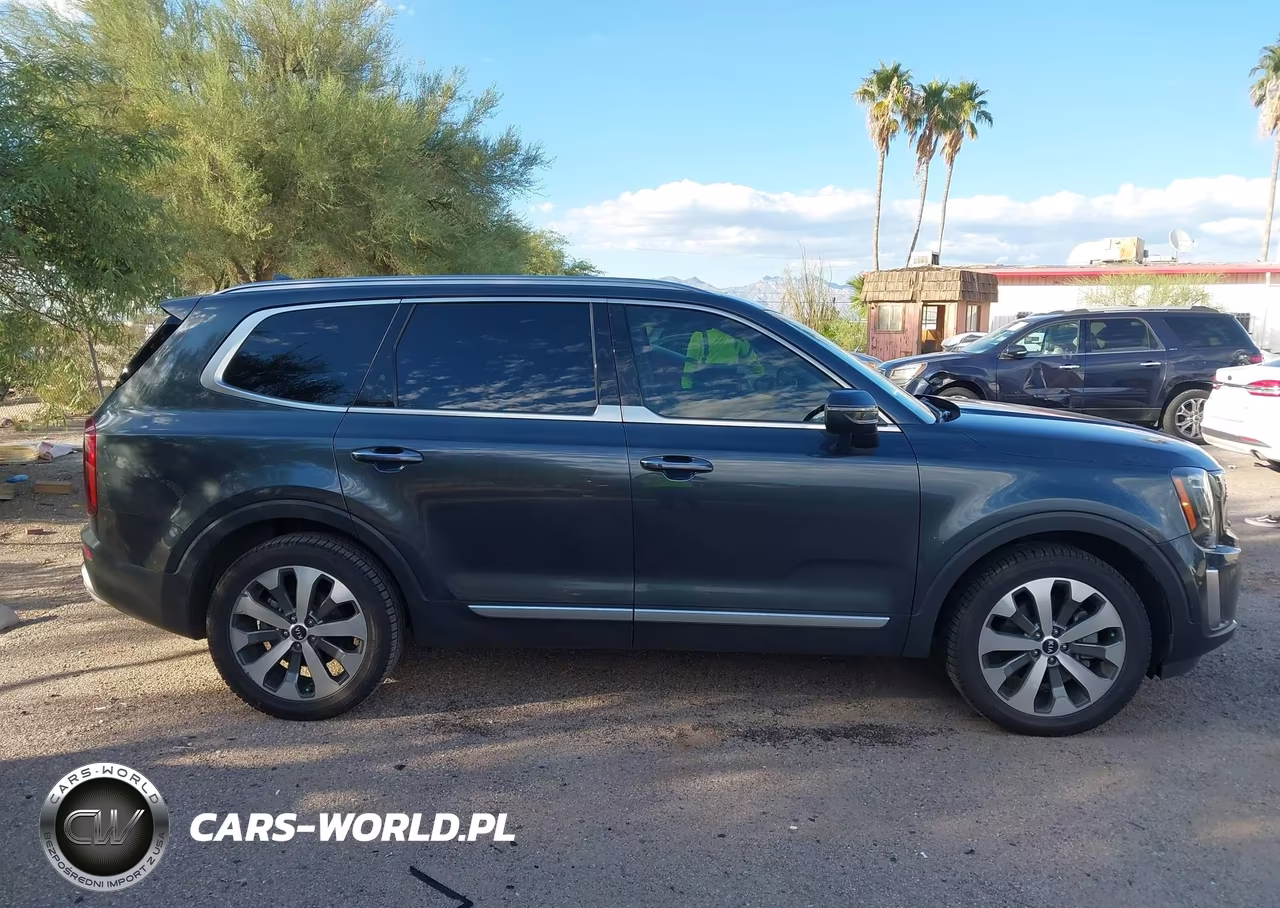 2020 Kia Telluride S VIN:5XYP64HC6LG014065 - 13