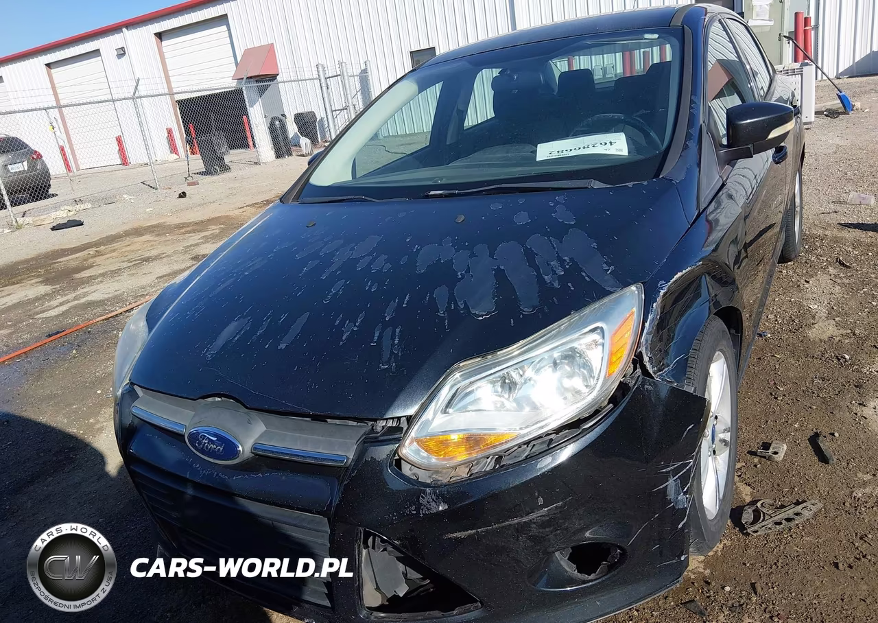 2014 Ford Focus Se VIN:1FADP3F21EL293247 - 12