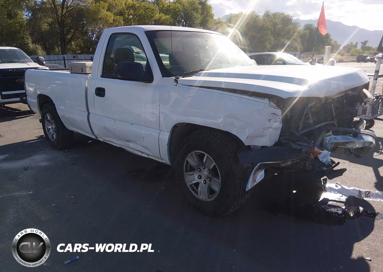 2006 Chevrolet Silverado 1500 Work Truck