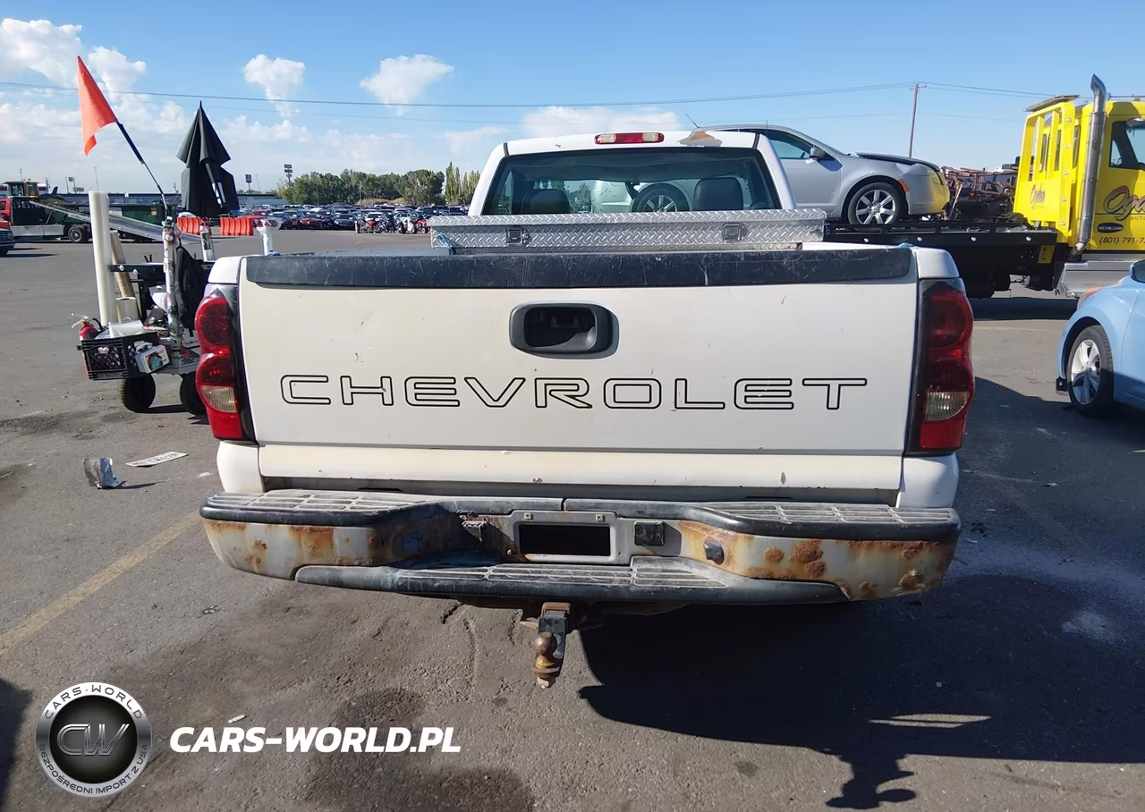 2006 Chevrolet Silverado 1500 Work Truck VIN:3GCEC14X66G211766 - 17