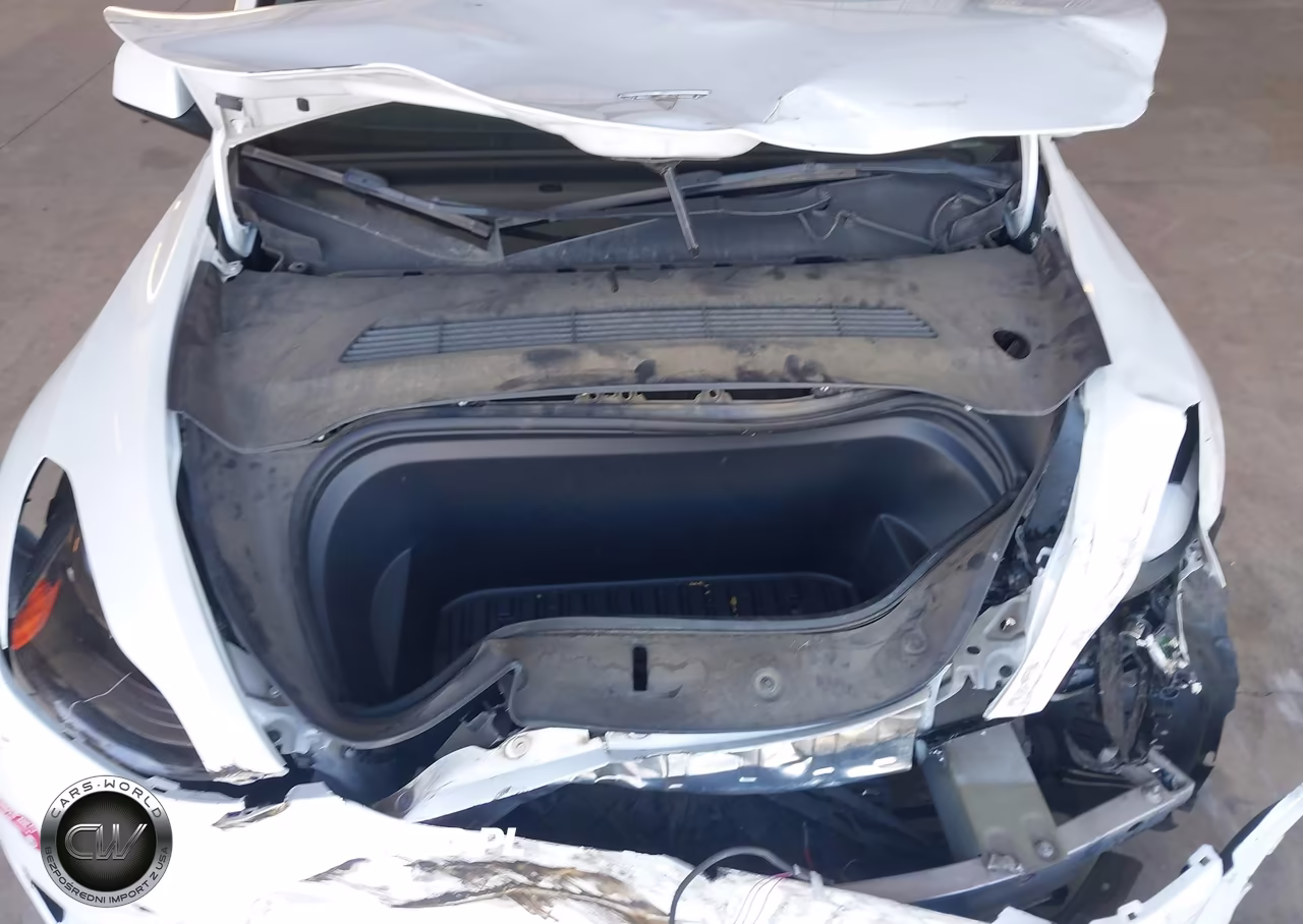 2023 Tesla Model Y Awd-Long Range Dual Motor All-Wheel Drive VIN:7SAYGDEE8PF824689 - 10