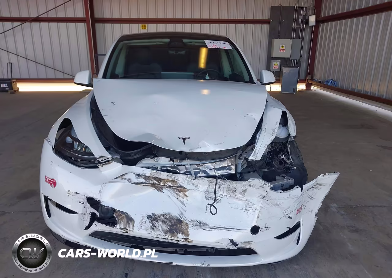 2023 Tesla Model Y Awd-Long Range Dual Motor All-Wheel Drive VIN:7SAYGDEE8PF824689 - 13