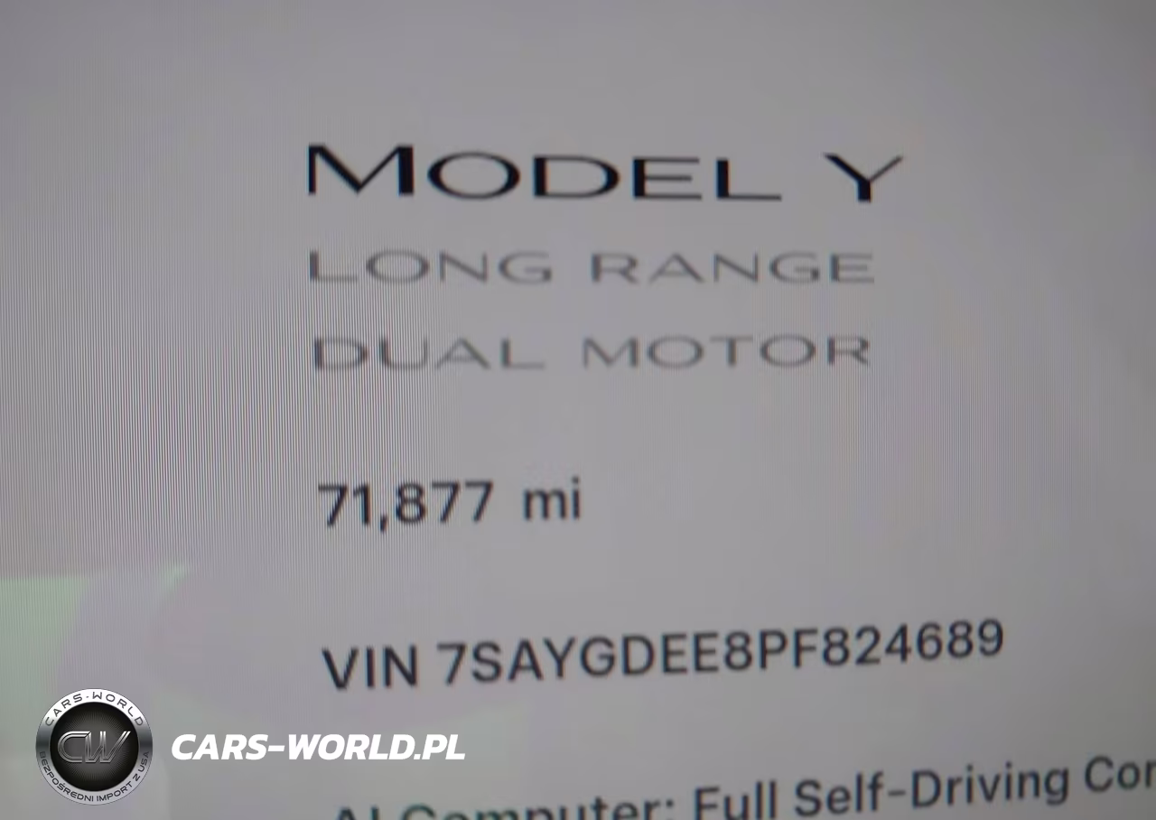 2023 Tesla Model Y Awd-Long Range Dual Motor All-Wheel Drive VIN:7SAYGDEE8PF824689 - 16