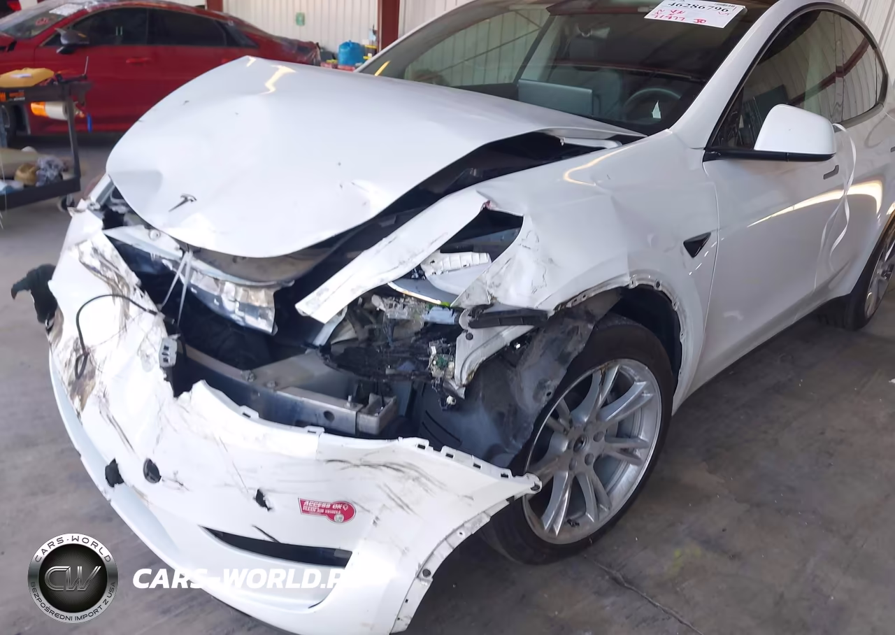 2023 Tesla Model Y Awd-Long Range Dual Motor All-Wheel Drive VIN:7SAYGDEE8PF824689 - 21