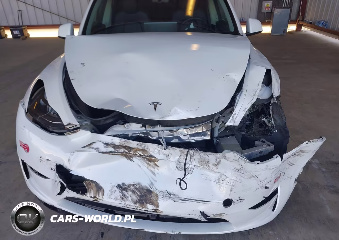 2023 Tesla Model Y Awd-Long Range Dual Motor All-Wheel Drive VIN:7SAYGDEE8PF824689 - 6