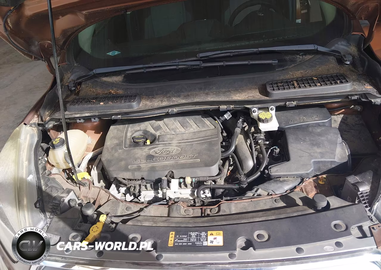2017 Ford Escape Se VIN:1FMCU0GD0HUC53961 - 10