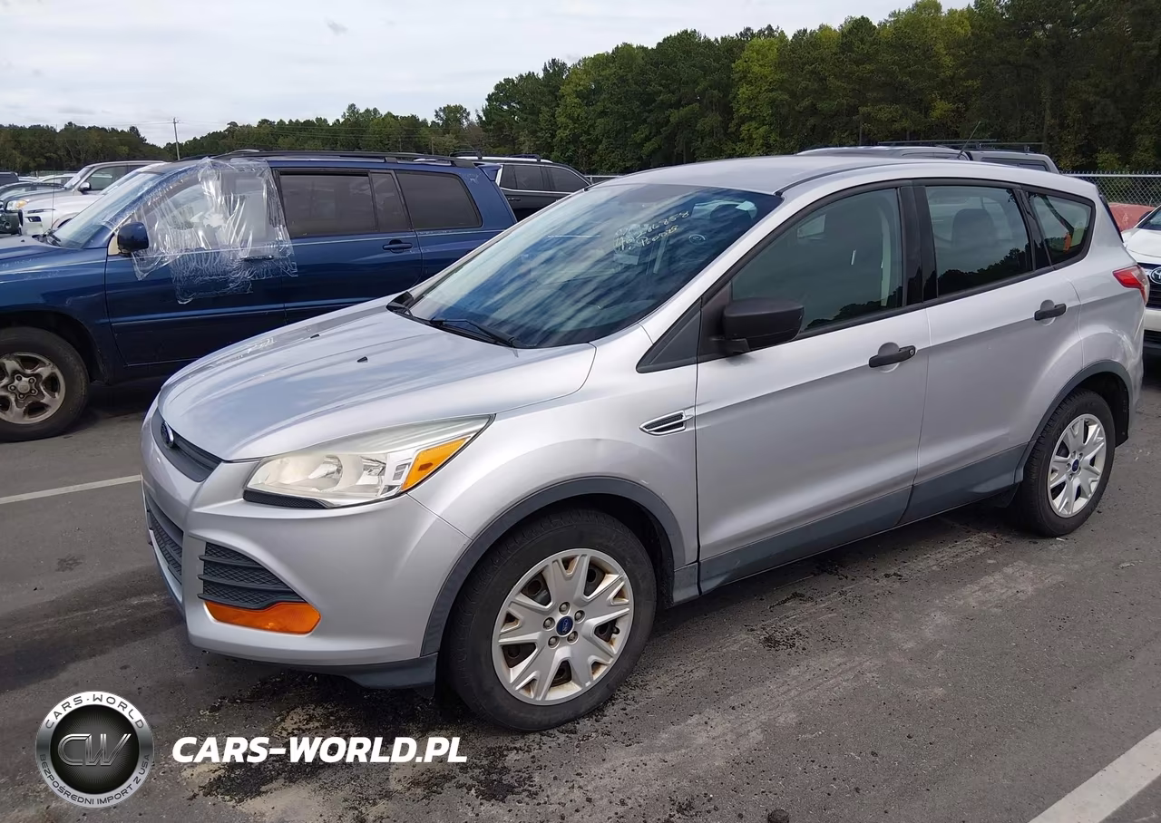 2015 Ford Escape S VIN:1FMCU0F73FUA48613 - 2