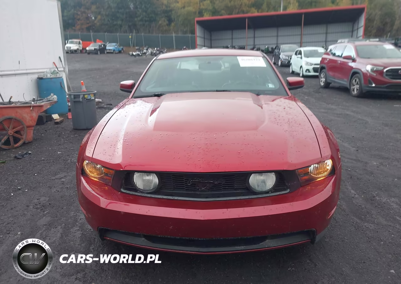 2010 Ford Mustang Gt-Gt Premium VIN:1ZVBP8CH5A5156265 - 12