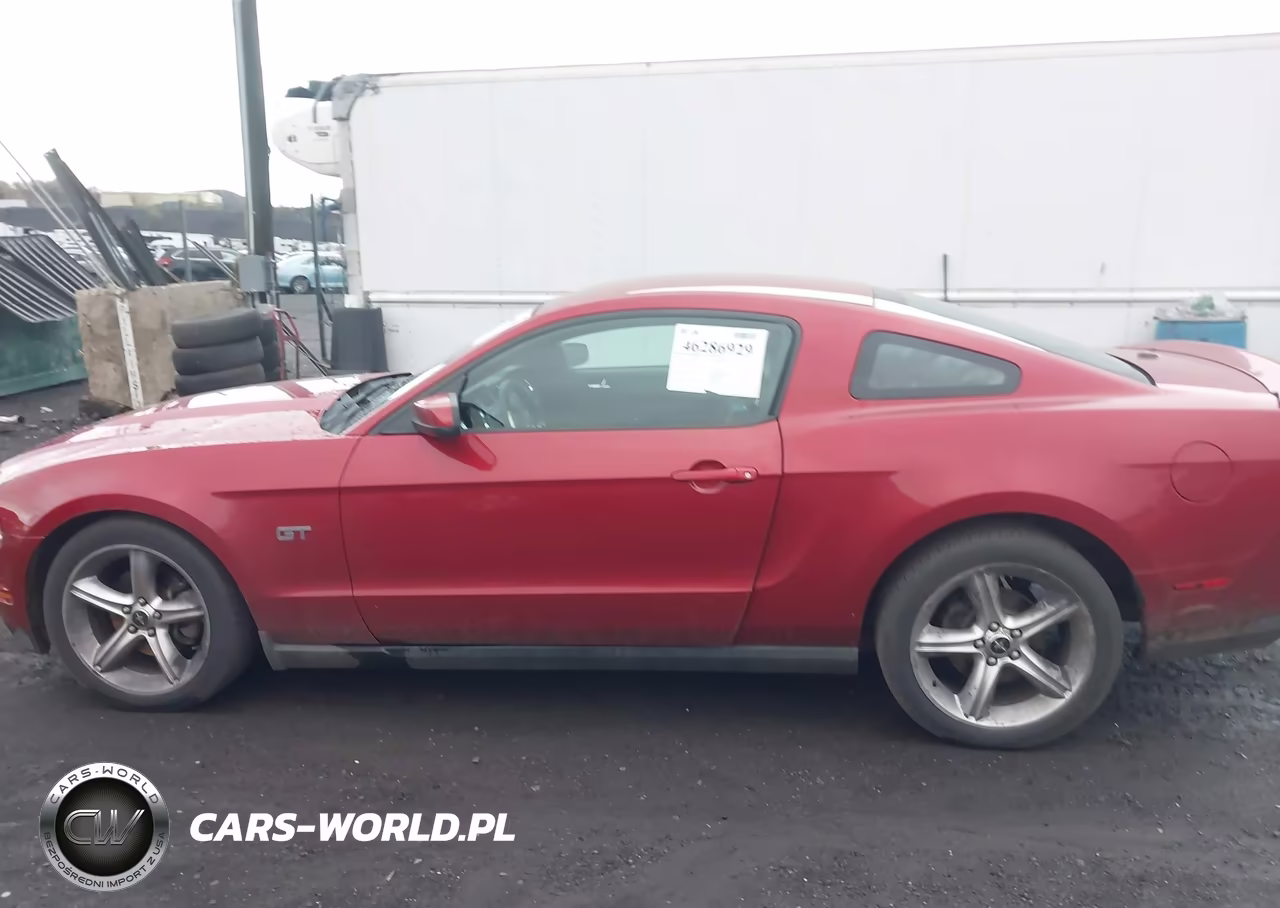 2010 Ford Mustang Gt-Gt Premium VIN:1ZVBP8CH5A5156265 - 14
