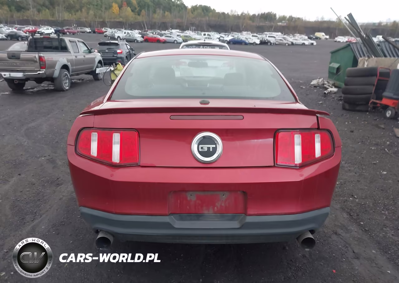 2010 Ford Mustang Gt-Gt Premium VIN:1ZVBP8CH5A5156265 - 16