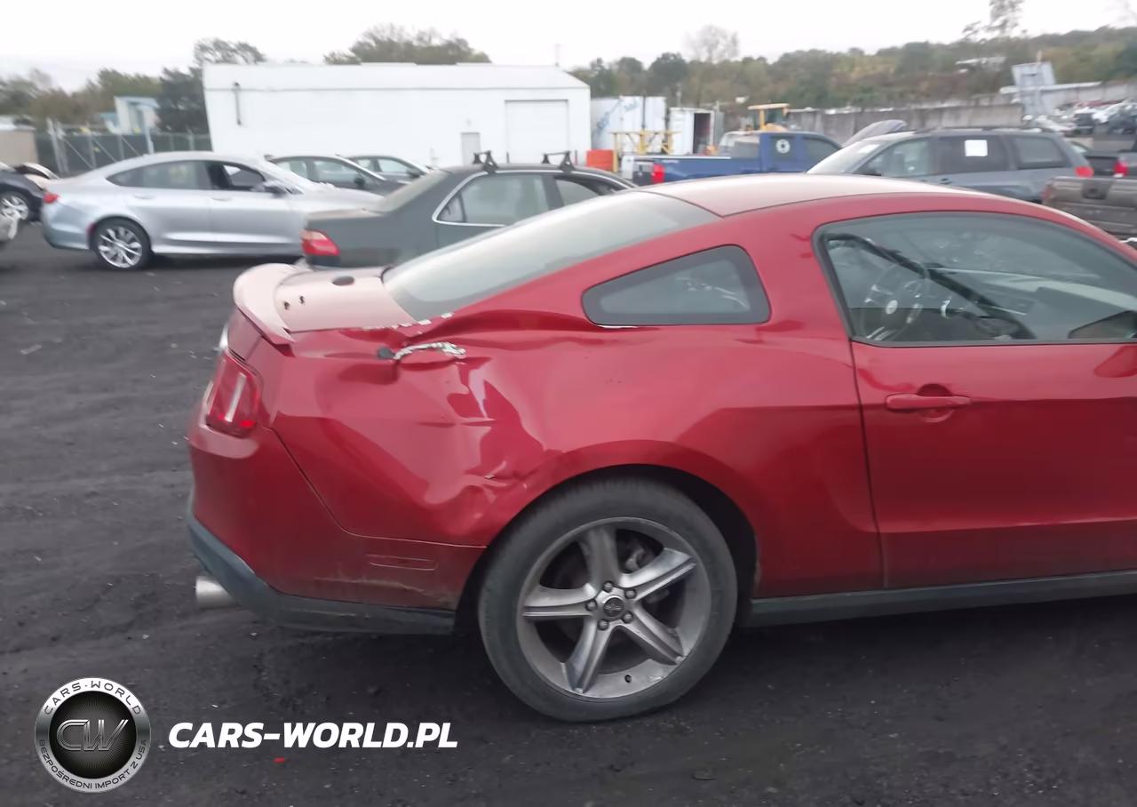 2010 Ford Mustang Gt-Gt Premium VIN:1ZVBP8CH5A5156265 - 17