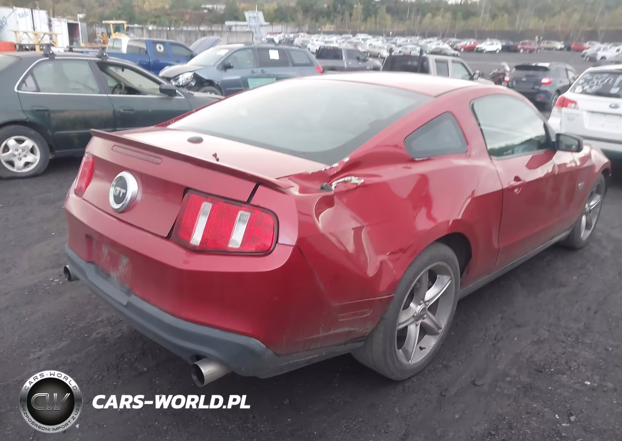 2010 Ford Mustang Gt-Gt Premium VIN:1ZVBP8CH5A5156265 - 18