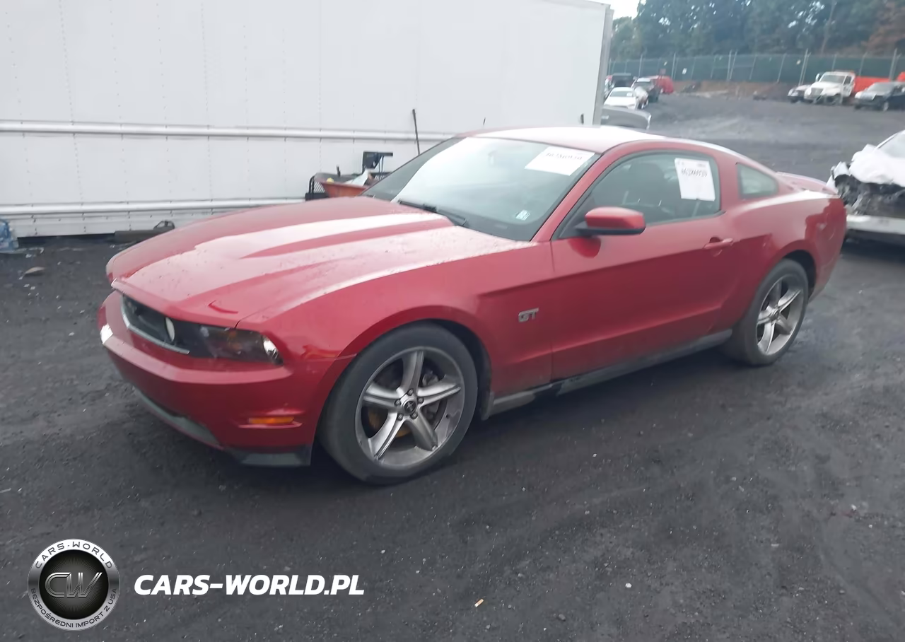 2010 Ford Mustang Gt-Gt Premium VIN:1ZVBP8CH5A5156265 - 2