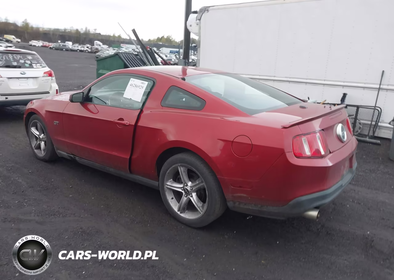 2010 Ford Mustang Gt-Gt Premium VIN:1ZVBP8CH5A5156265 - 3