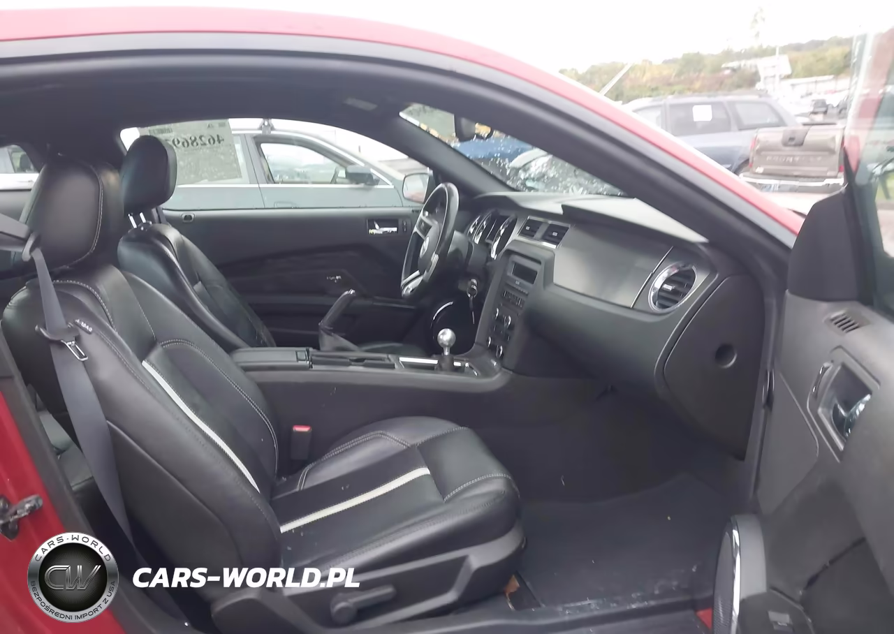 2010 Ford Mustang Gt-Gt Premium VIN:1ZVBP8CH5A5156265 - 5