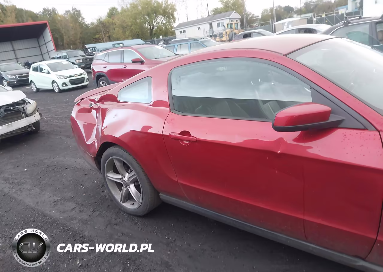 2010 Ford Mustang Gt-Gt Premium VIN:1ZVBP8CH5A5156265 - 6