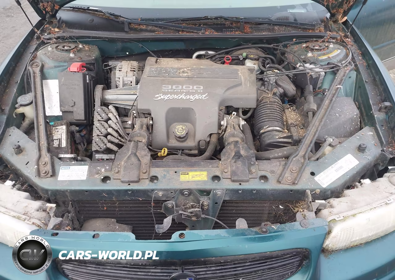 1998 Buick Regal Gs Cmi VIN:2G4WF5216W1401766 - 10