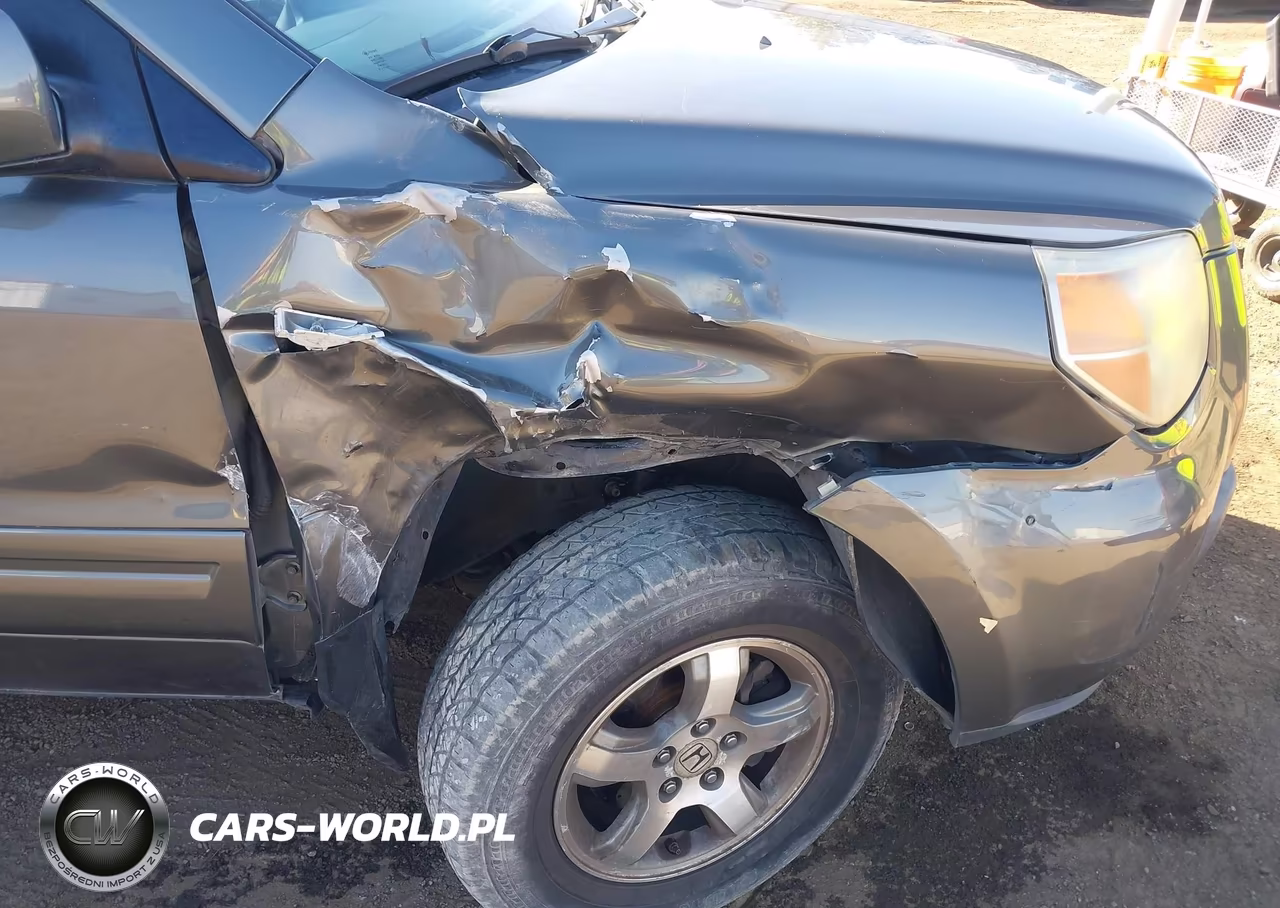 2008 Honda Pilot Se VIN:5FNYF18338B045615 - 6