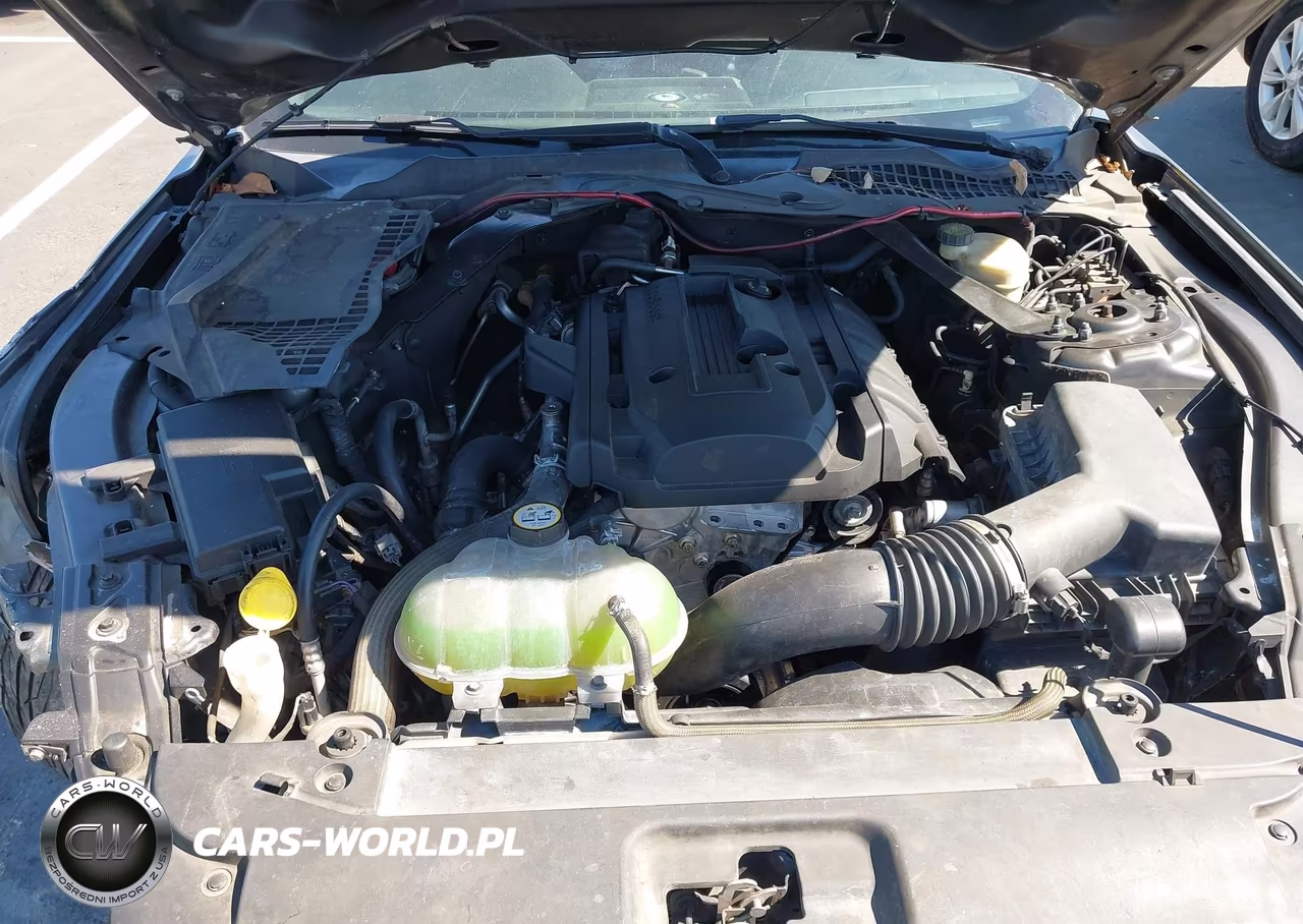 2017 Ford Mustang Ecoboost VIN:1FA6P8TH2H5266534 - 10