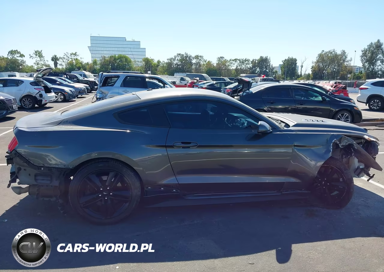 2017 Ford Mustang Ecoboost VIN:1FA6P8TH2H5266534 - 14
