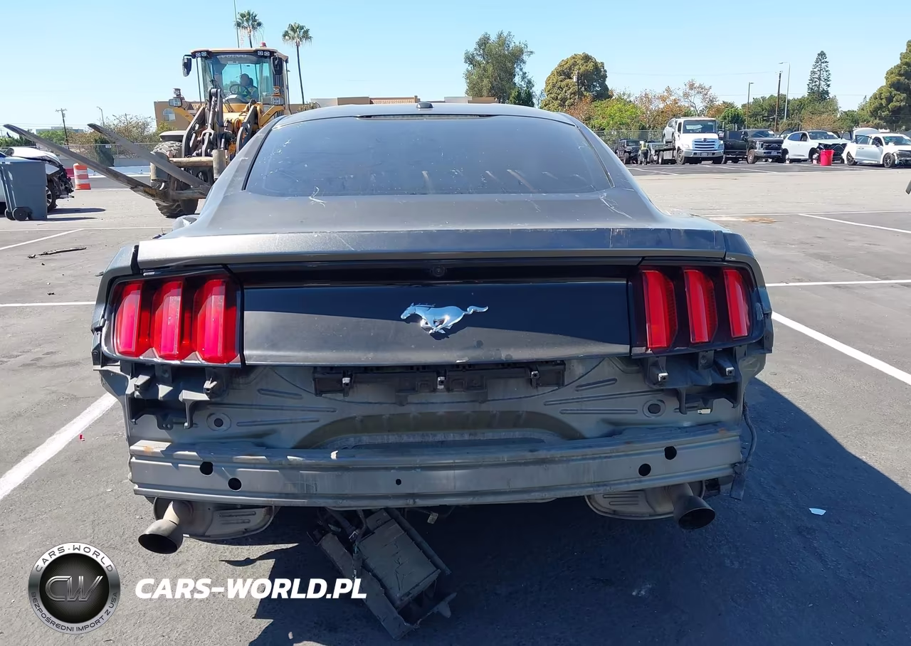 2017 Ford Mustang Ecoboost VIN:1FA6P8TH2H5266534 - 17