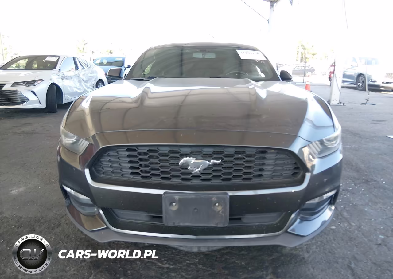 2017 Ford Mustang V6 VIN:1FA6P8AM0H5254186 - 13