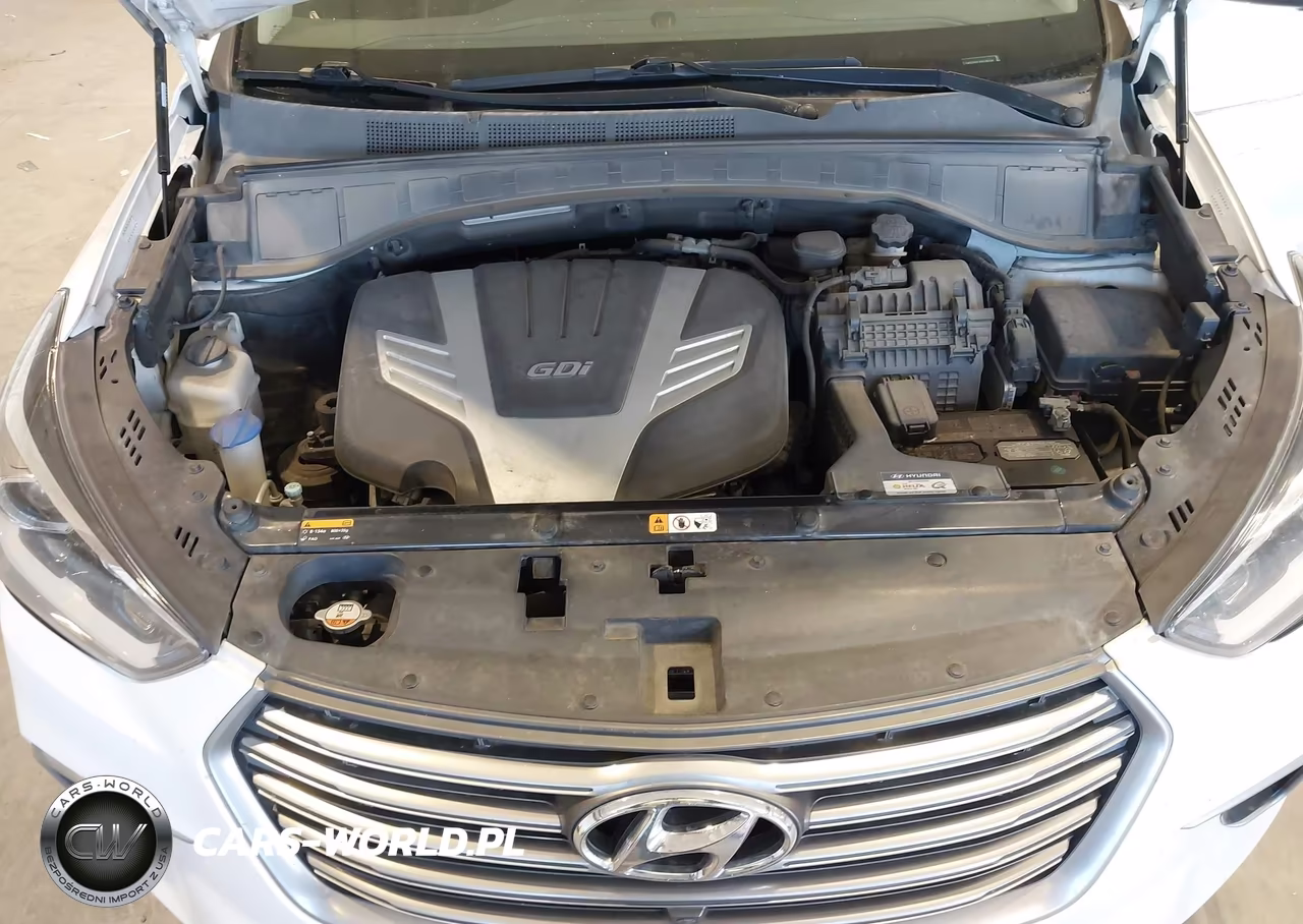 2017 Hyundai Santa Fe Limited Ultimate VIN:KM8SR4HFXHU196334 - 10