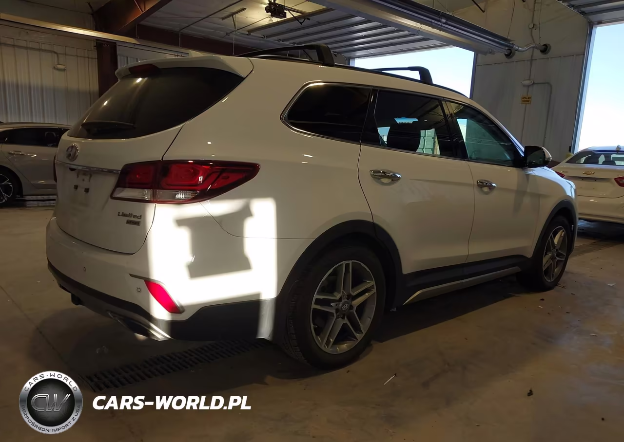 2017 Hyundai Santa Fe Limited Ultimate VIN:KM8SR4HFXHU196334 - 4