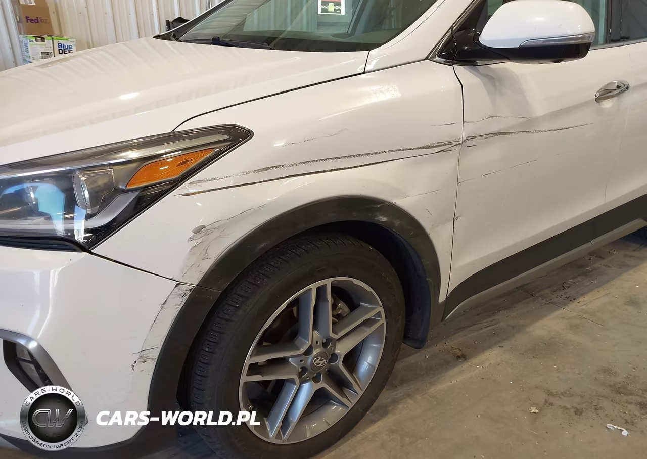 2017 Hyundai Santa Fe Limited Ultimate VIN:KM8SR4HFXHU196334 - 6