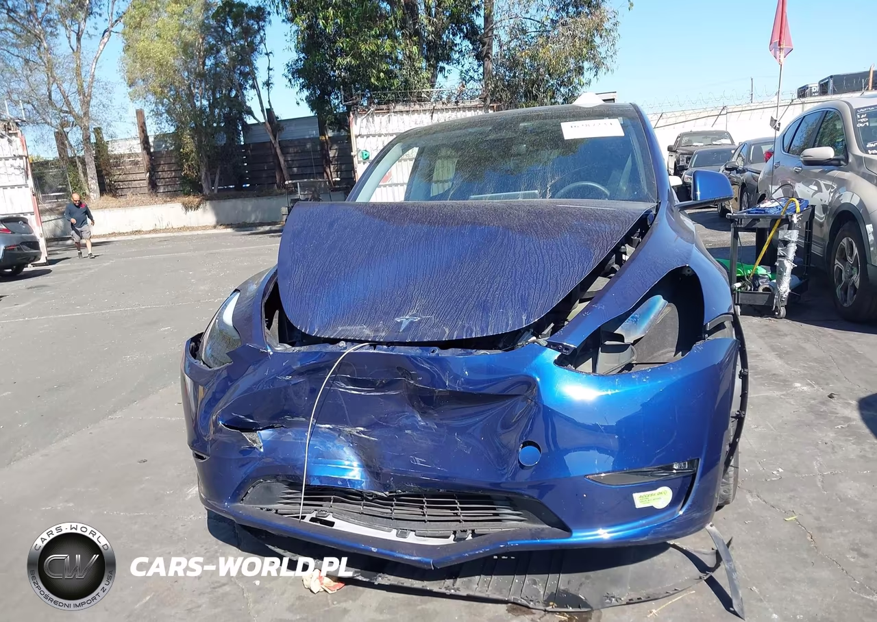 2023 Tesla Model Y Performance Dual Motor All-Wheel Drive VIN:7SAYGDEF6PF762167 - 12