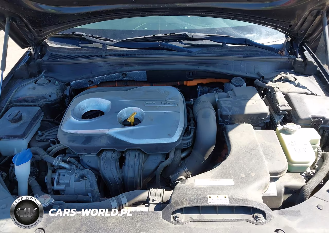 2017 Kia Optima Hybrid Ex VIN:KNAGU4LE1H5013904 - 10