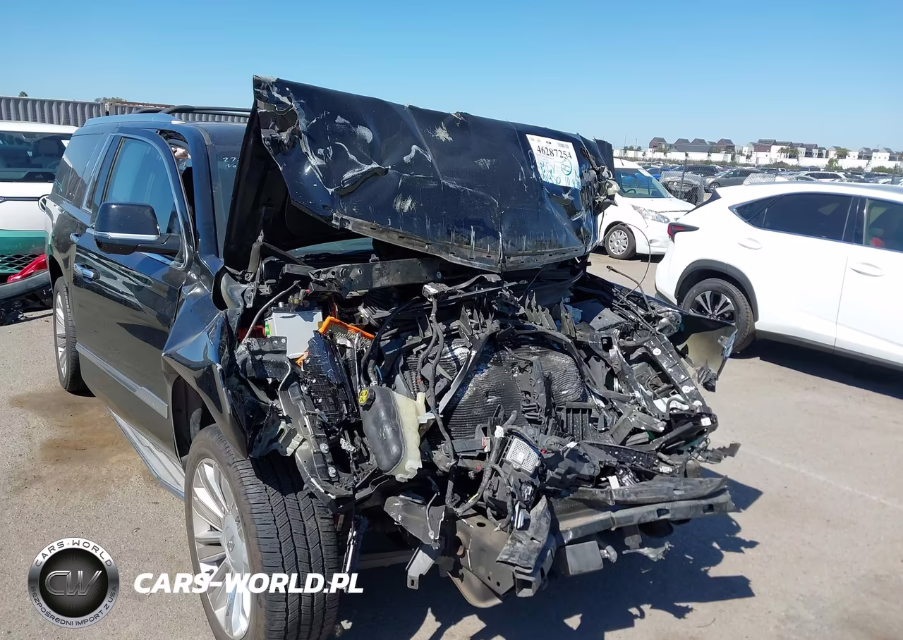2015 Cadillac Escalade Esv Premium VIN:1GYS4TKJ3FR560680 - 13