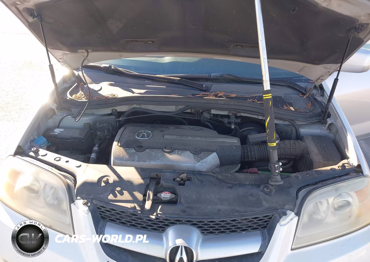 2005 Acura Mdx VIN:2HNYD18815H527064 - 10