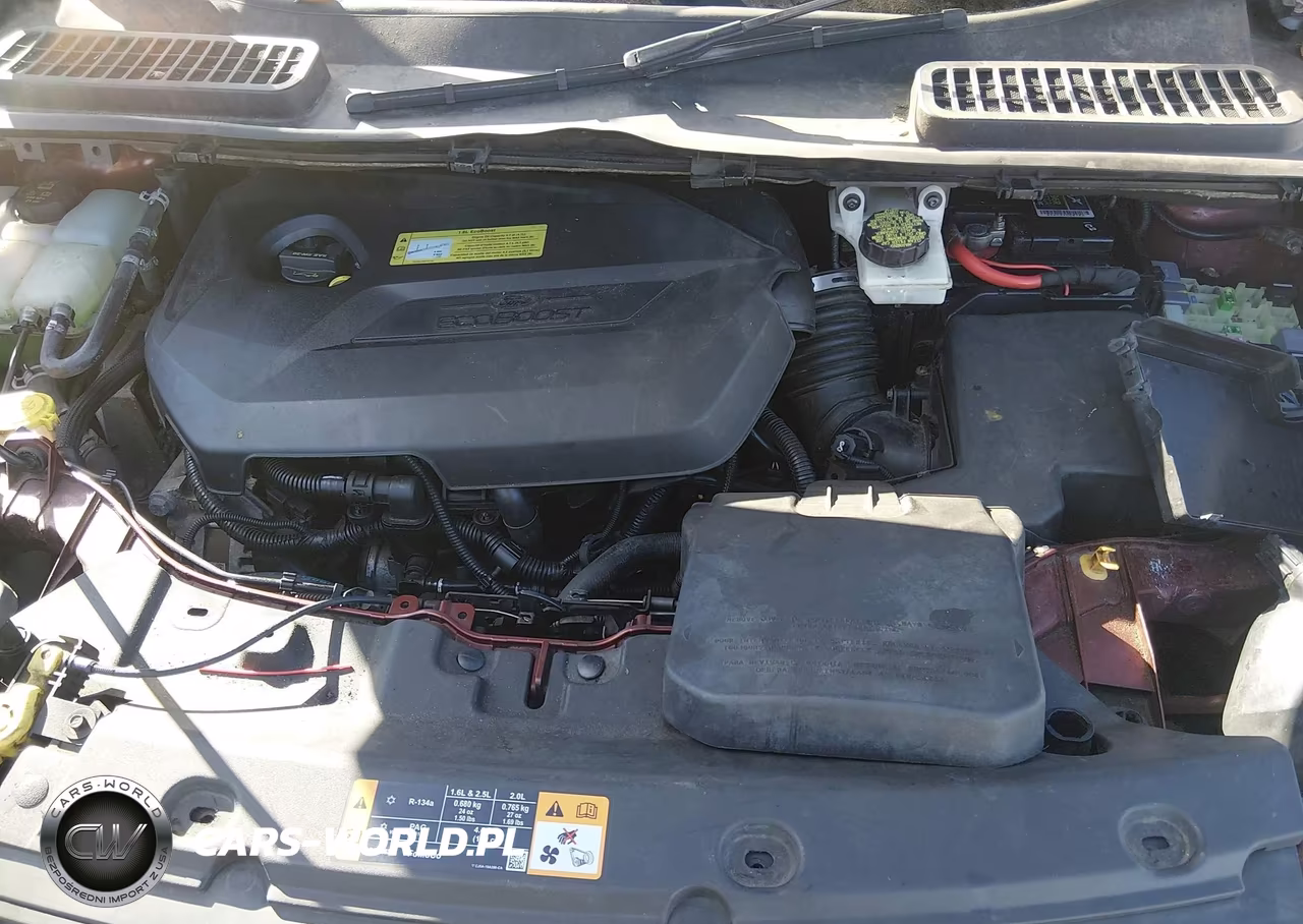 2014 Ford Escape Se VIN:1FMCU0GX7EUA03767 - 10