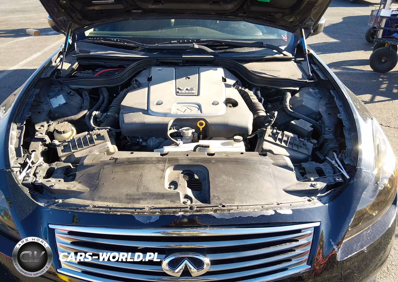 2009 Infiniti G37 Journey VIN:JNKCV64E69M601926 - 10