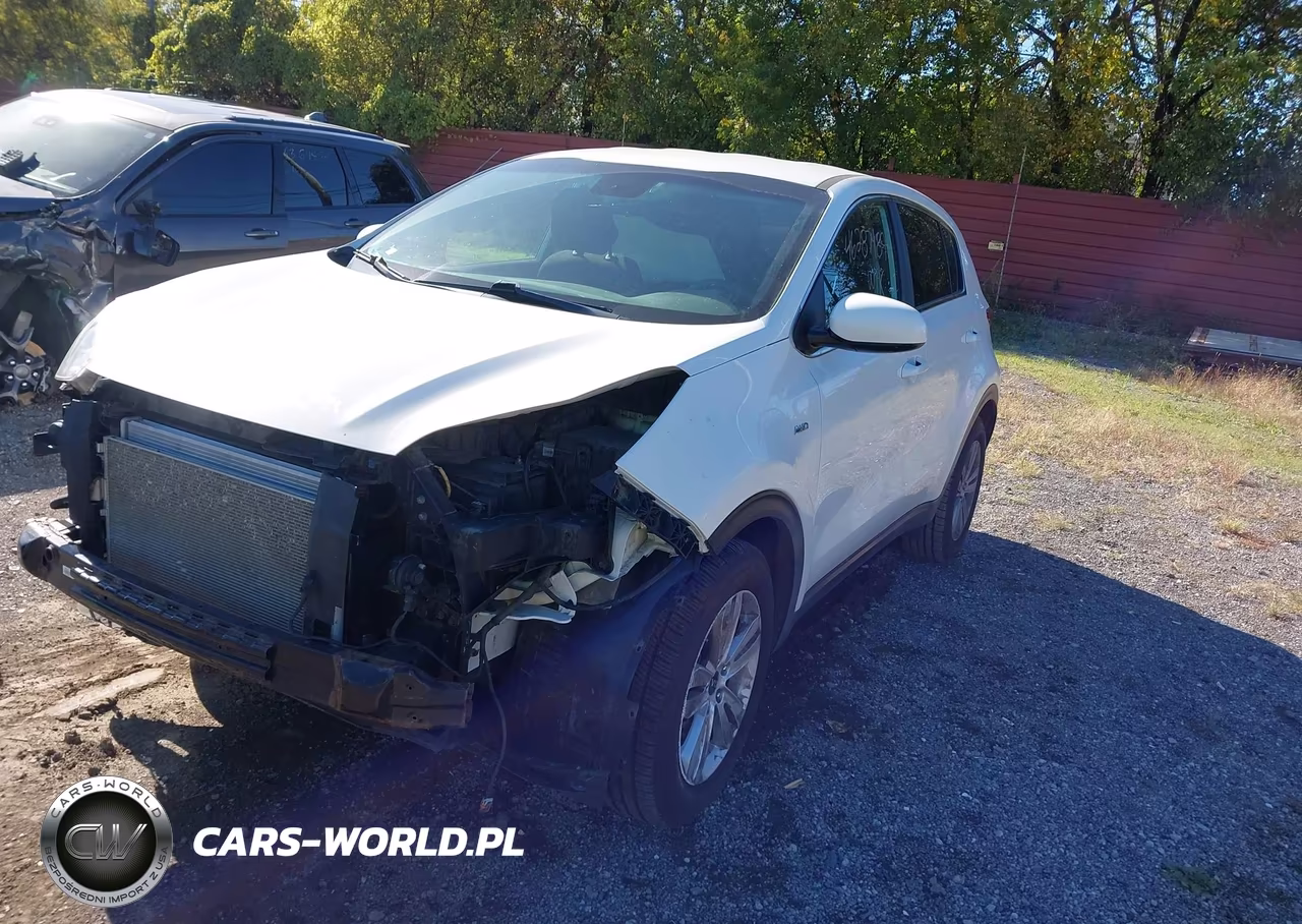 2018 Kia Sportage Lx VIN:KNDPMCAC6J7444487 - 2