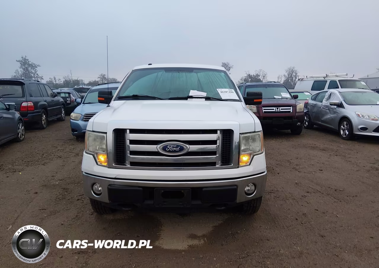 2010 Ford F-150 Stx-Xl-Xlt VIN:1FTEX1E80AFD76279 - 12