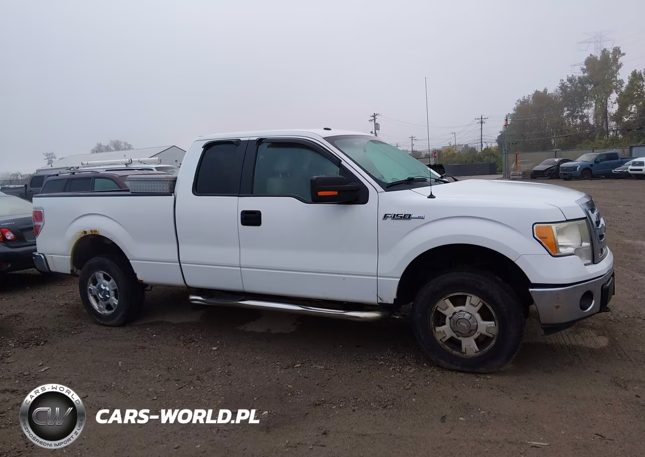 2010 Ford F-150 Stx-Xl-Xlt VIN:1FTEX1E80AFD76279 - 13