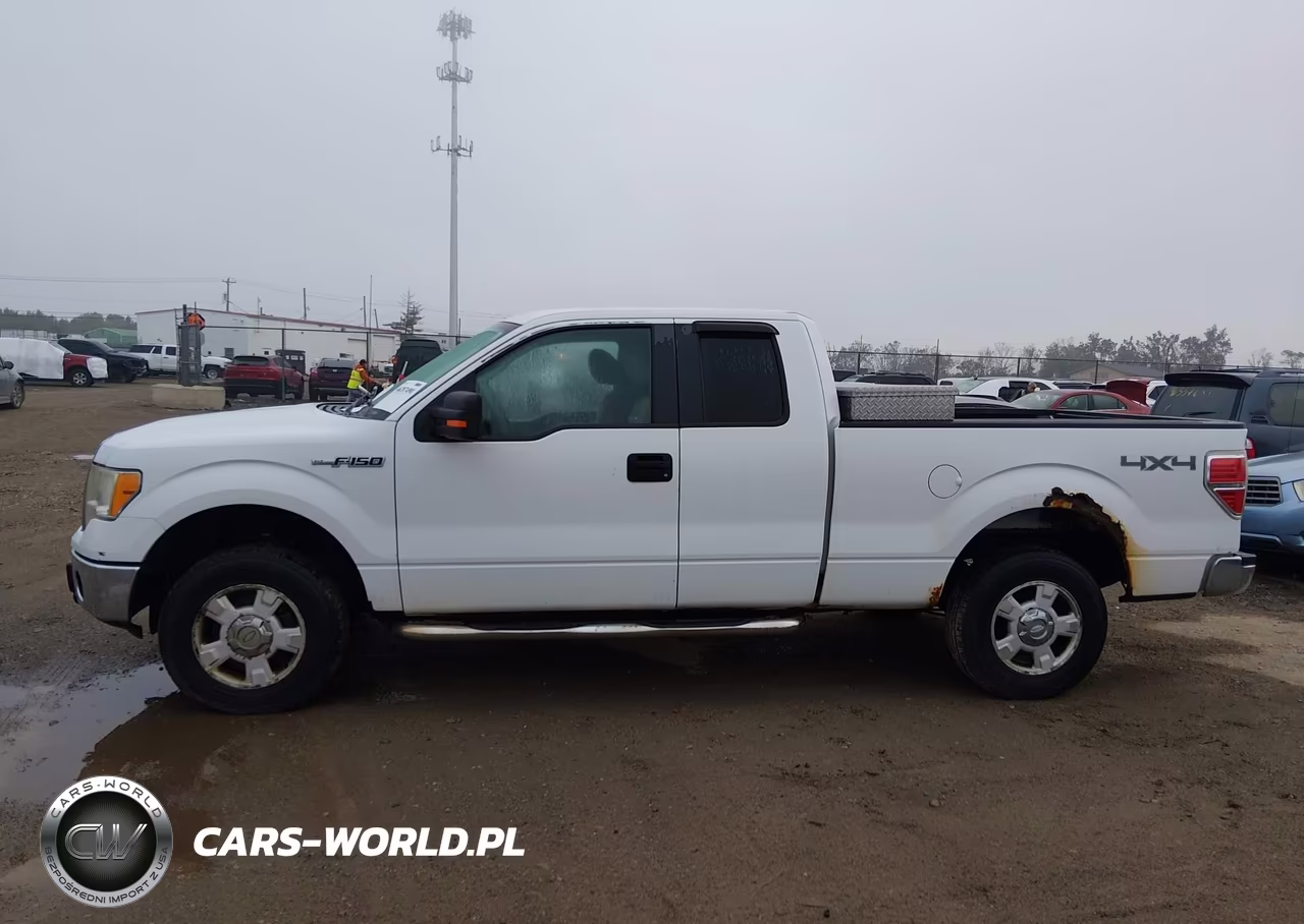 2010 Ford F-150 Stx-Xl-Xlt VIN:1FTEX1E80AFD76279 - 14