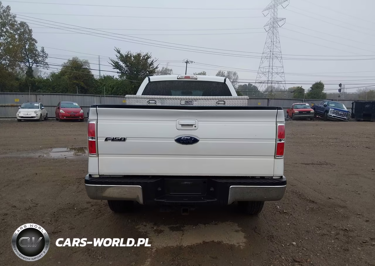 2010 Ford F-150 Stx-Xl-Xlt VIN:1FTEX1E80AFD76279 - 16