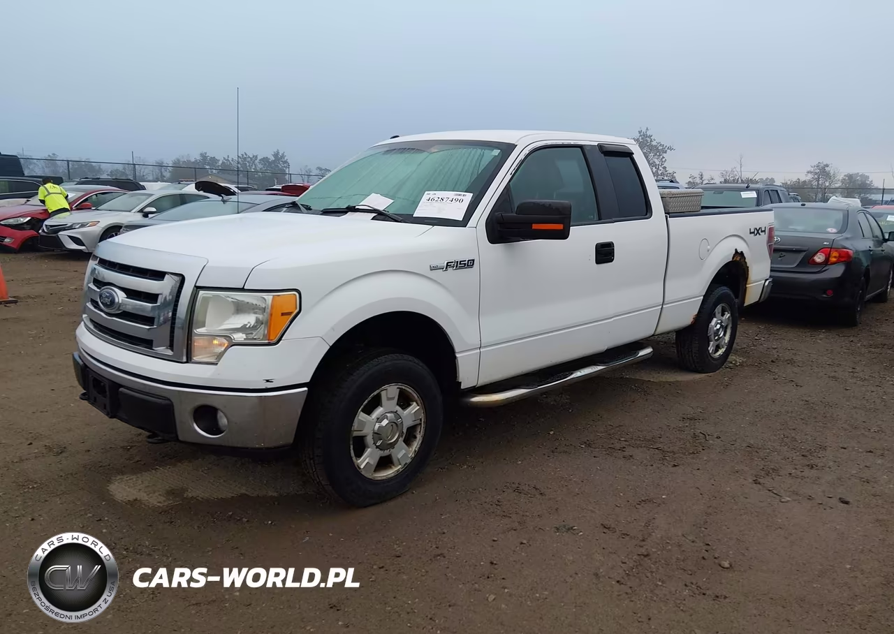 2010 Ford F-150 Stx-Xl-Xlt VIN:1FTEX1E80AFD76279 - 2