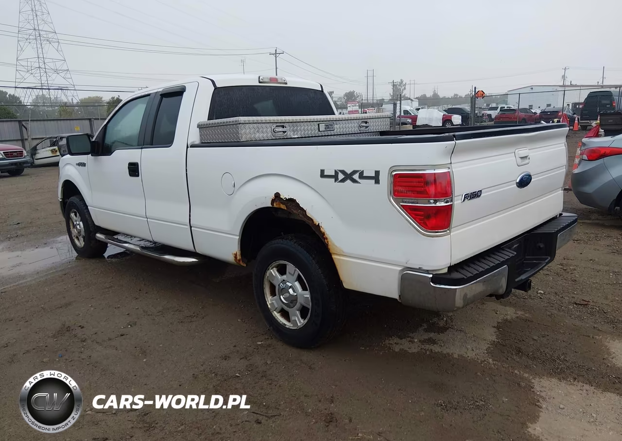 2010 Ford F-150 Stx-Xl-Xlt VIN:1FTEX1E80AFD76279 - 3