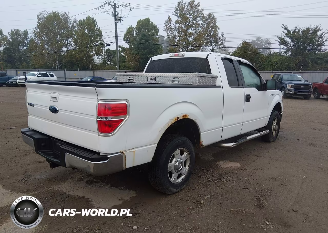 2010 Ford F-150 Stx-Xl-Xlt VIN:1FTEX1E80AFD76279 - 4