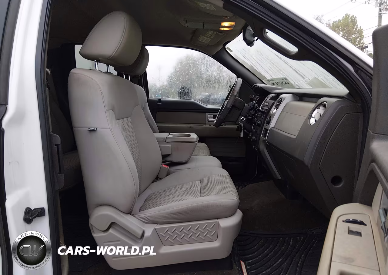 2010 Ford F-150 Stx-Xl-Xlt VIN:1FTEX1E80AFD76279 - 5