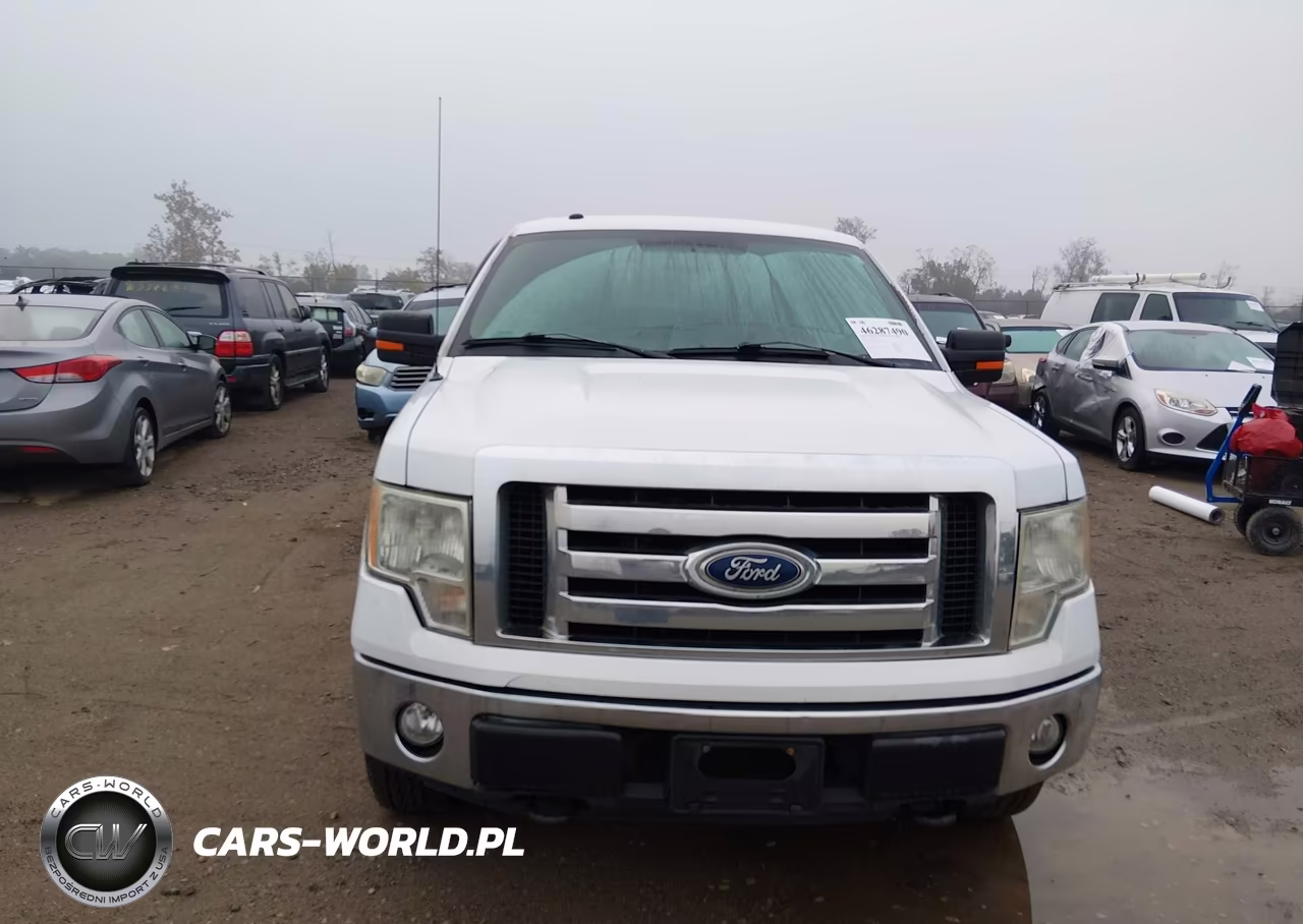 2010 Ford F-150 Stx-Xl-Xlt VIN:1FTEX1E80AFD76279 - 6